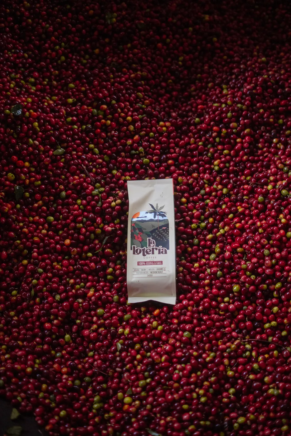 Bolsa de 340 g sobre cerezas recién recogidas