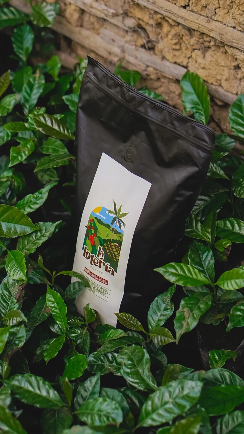 Bolsa de 2,5 kg entre el cafetal
