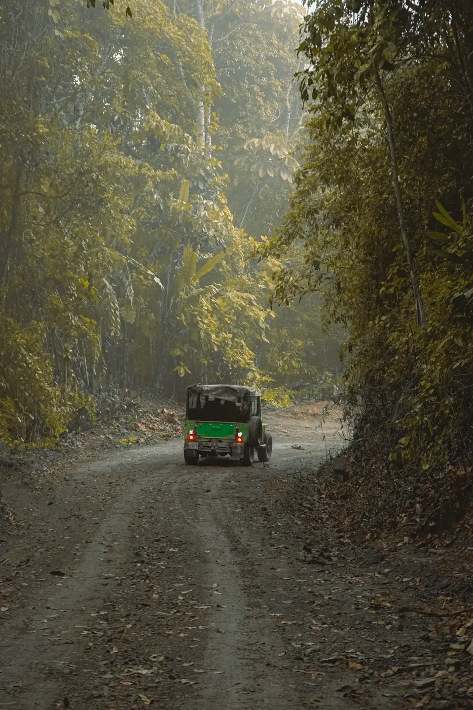 Willys subiendo por el camino de la finca entre la niebla