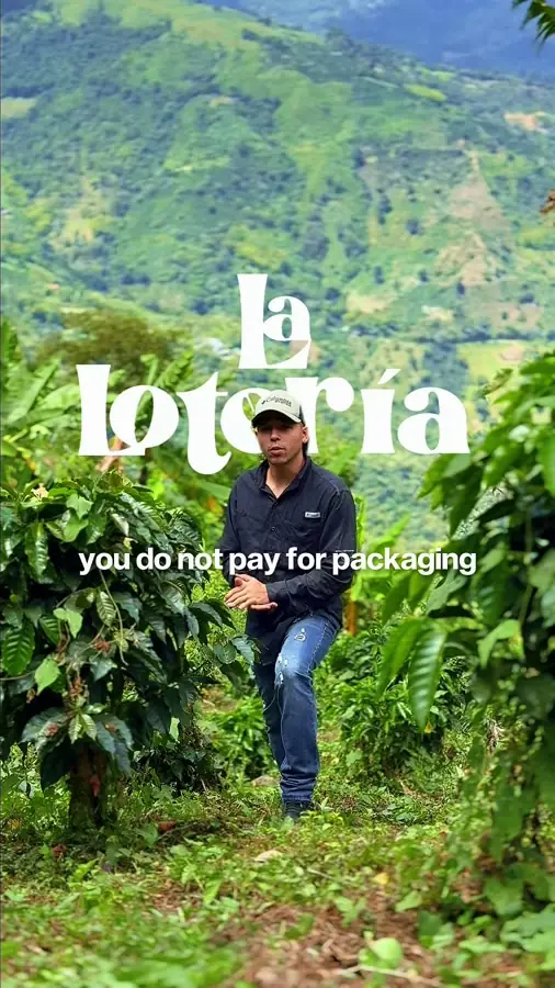 El proceso en la finca